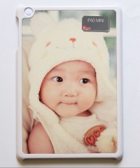 Apple Ipad Mini Case